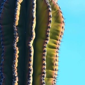 Meet your Posher, Sydney